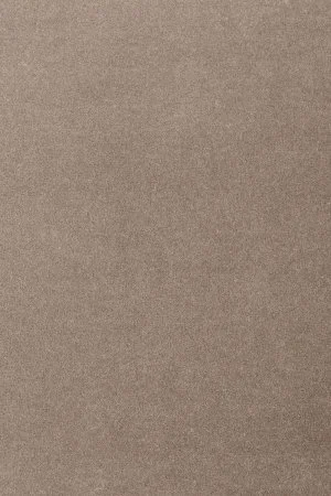 Ковровое покрытие AW Oinone 49 - (5м) в Сургуте