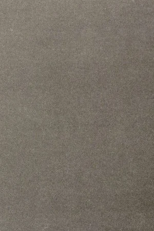 Ковровое покрытие AW Oinone 95 - (4м) в Сургуте