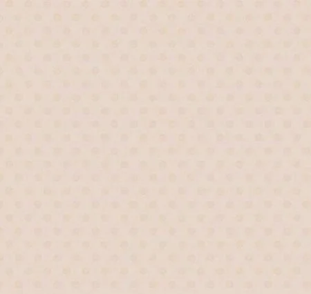 Обои Loymina Golden Library Q11, 002/1 в Сургуте