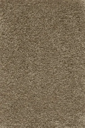 Ковровое покрытие AW Certosa 35 - (5м) в Сургуте