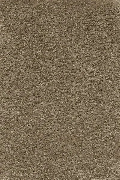 Ковровое покрытие AW Certosa 35 - (5м) в Сургуте