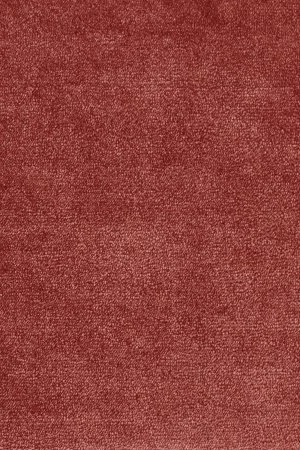 Ковровое покрытие AW Omphale 10 - (5м) в Сургуте