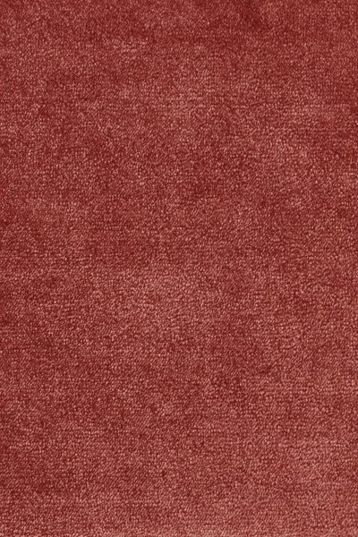 Ковровое покрытие AW Omphale 10 - (5м) в Сургуте