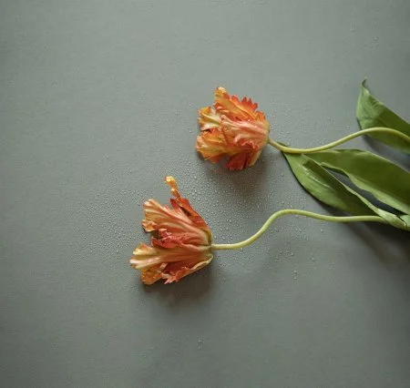 Обои Loymina Russian Classic Ru10, 006 в Сургуте