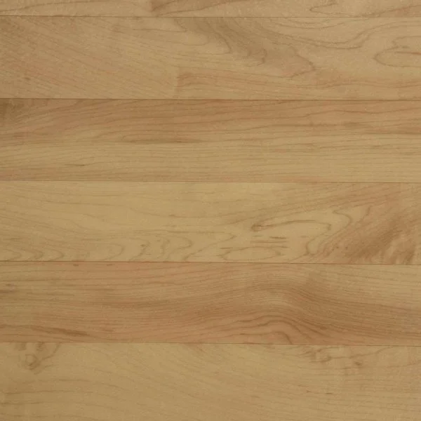 Спортивный линолеум Tarkett Omnisports Action 65 Cold Beech в Сургуте