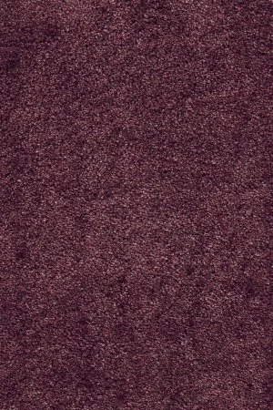 Ковровое покрытие AW Fedone 19 - (5м) в Сургуте