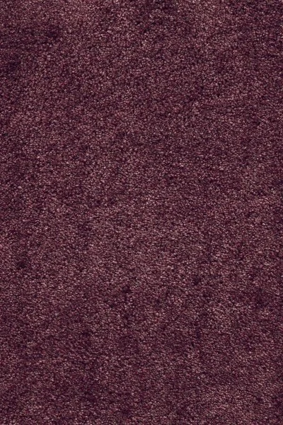 Ковровое покрытие AW Fedone 19 - (5м) в Сургуте