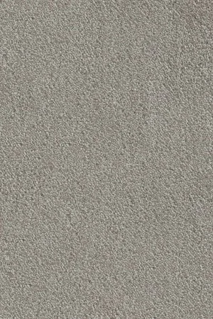 Ковровое покрытие AW Messalina 9 - (4м) в Сургуте