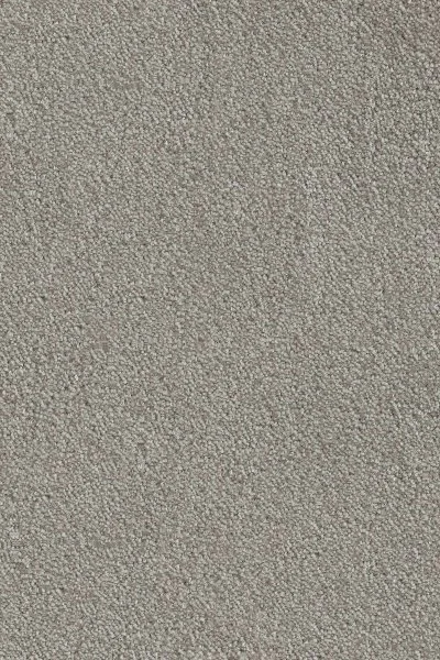 Ковровое покрытие AW Messalina 9 - (4м) в Сургуте