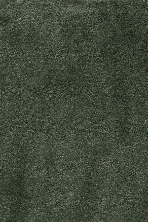 Ковровое покрытие AW Fedone 24 - (5м) в Сургуте