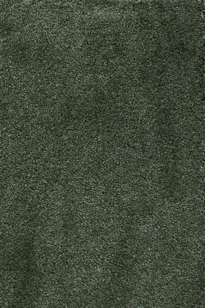 Ковровое покрытие AW Fedone 24 - (5м) в Сургуте