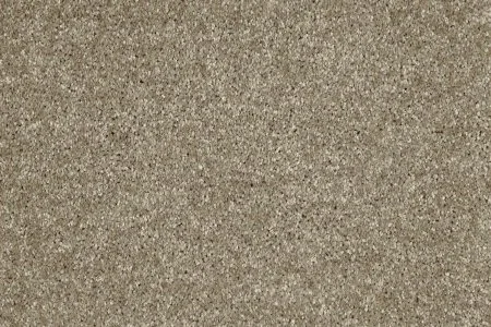 Ковровое покрытие AW Gala 33 - (4м) в Сургуте