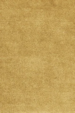 Ковровое покрытие AW Omphale 54 - (5м) в Сургуте