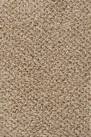 Ковровое покрытие AW Stainaway Tweed 50 - (4м) в Сургуте
