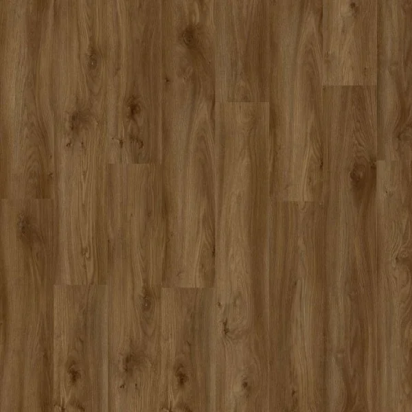 LVT-плитка Moduleo Roots Glue 0.55 EIR Sierra Oak 58876Q в Сургуте