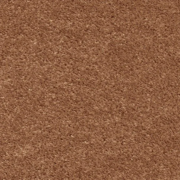 Ковровое покрытие AW Euphoria 84 - (5м) в Сургуте