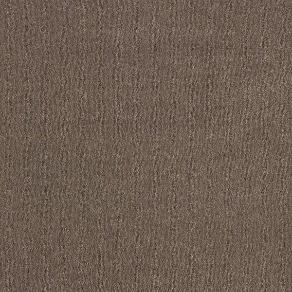 Ковровое покрытие AW Orseis 44 - (4м) в Сургуте