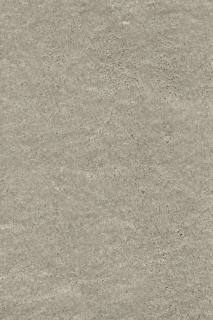 Ковровое покрытие AW Fedone 90 - (4м) в Сургуте