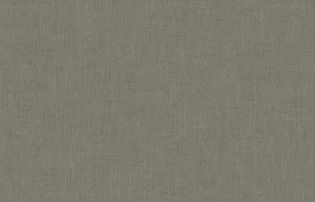 Обои Loymina Textile TXL5 005/2 в Сургуте