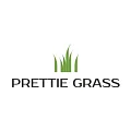 Искусственная трава Prettie Grass в Сургуте