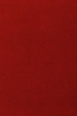 Ковровое покрытие AW Oinone 10 - (5м) в Сургуте