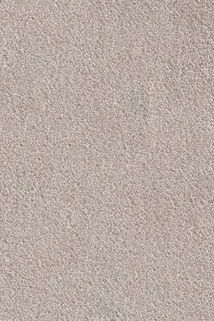 Ковровое покрытие AW Messalina 37 - (4м) в Сургуте