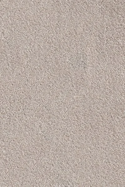 Ковровое покрытие AW Messalina 37 - (4м) в Сургуте