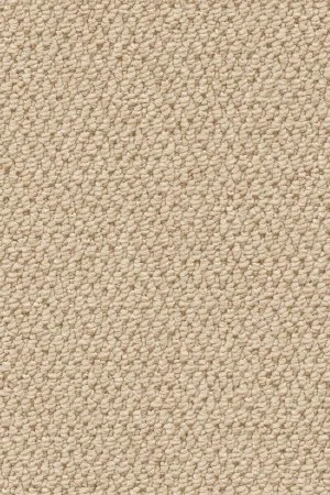 Ковровое покрытие AW Skye 03 - (4м) в Сургуте