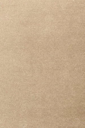 Ковровое покрытие AW Oinone 36 - (4м) в Сургуте