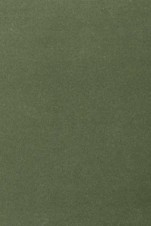 Ковровое покрытие AW Oinone 24 - (4м) в Сургуте