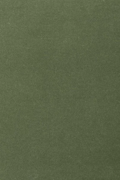 Ковровое покрытие AW Oinone 24 - (4м) в Сургуте