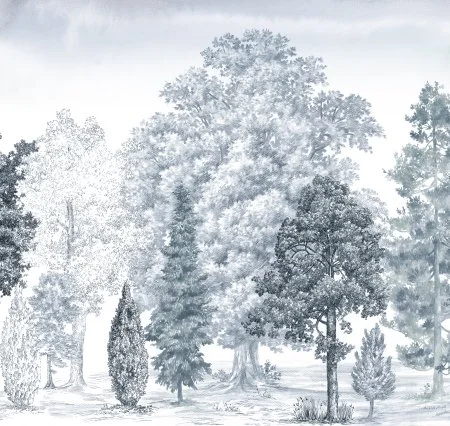 Обои Loymina Пейзаж vol. 2 ART14 006 в Сургуте