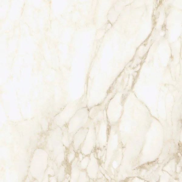 Керамогранит Coliseum Микеланджело Ворм 60х60 (Натуральный и Реттифицированный) в Сургуте