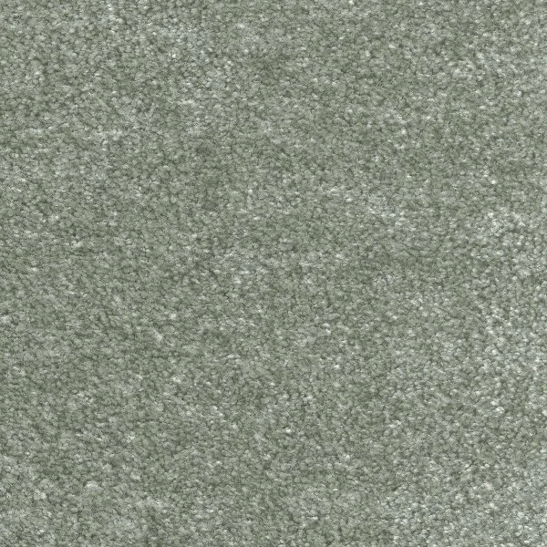 Ковровое покрытие AW Euphoria 28 - (5м) в Сургуте