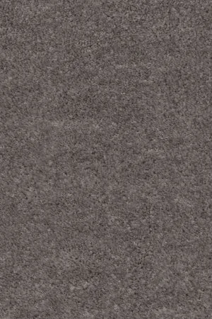 Ковровое покрытие AW Euphoria 45 - (5м) в Сургуте