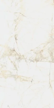 Керамогранит Coliseum Канова Уайт 60х120 (Натуральный и Реттифицированный) в Сургуте
