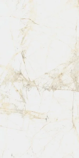 Керамогранит Coliseum Канова Уайт 60х120 (Натуральный и Реттифицированный) в Сургуте