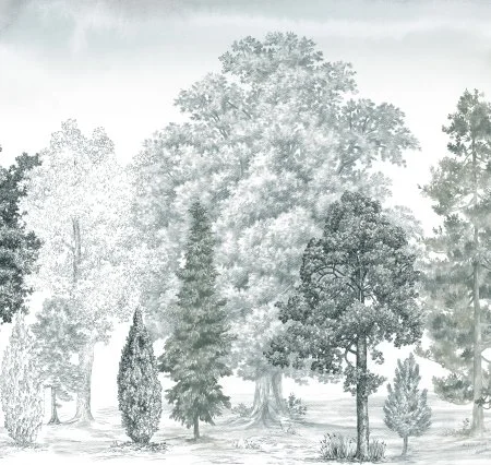 Обои Loymina Пейзаж vol. 2 ART14 011 в Сургуте