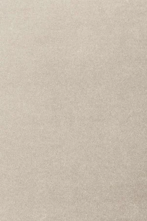 Ковровое покрытие AW Oinone 39 - (4м) в Сургуте