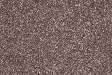 Ковровое покрытие AW Gala 60 - (5м) в Сургуте