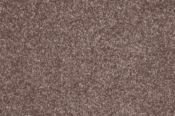 Ковровое покрытие AW Gala 60 - (5м) в Сургуте